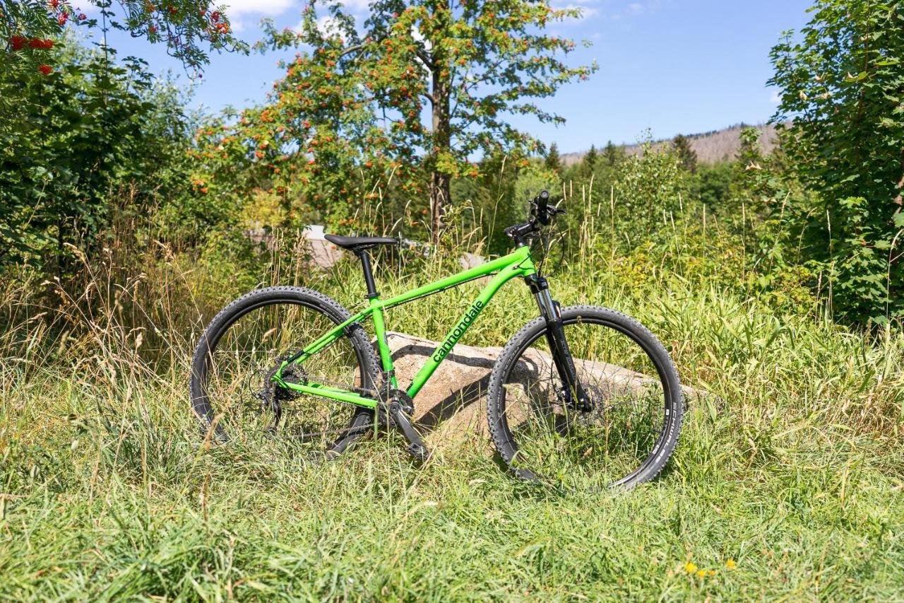 Ferienanlage Zum Wildbach Schierke Dış mekan fotoğraf