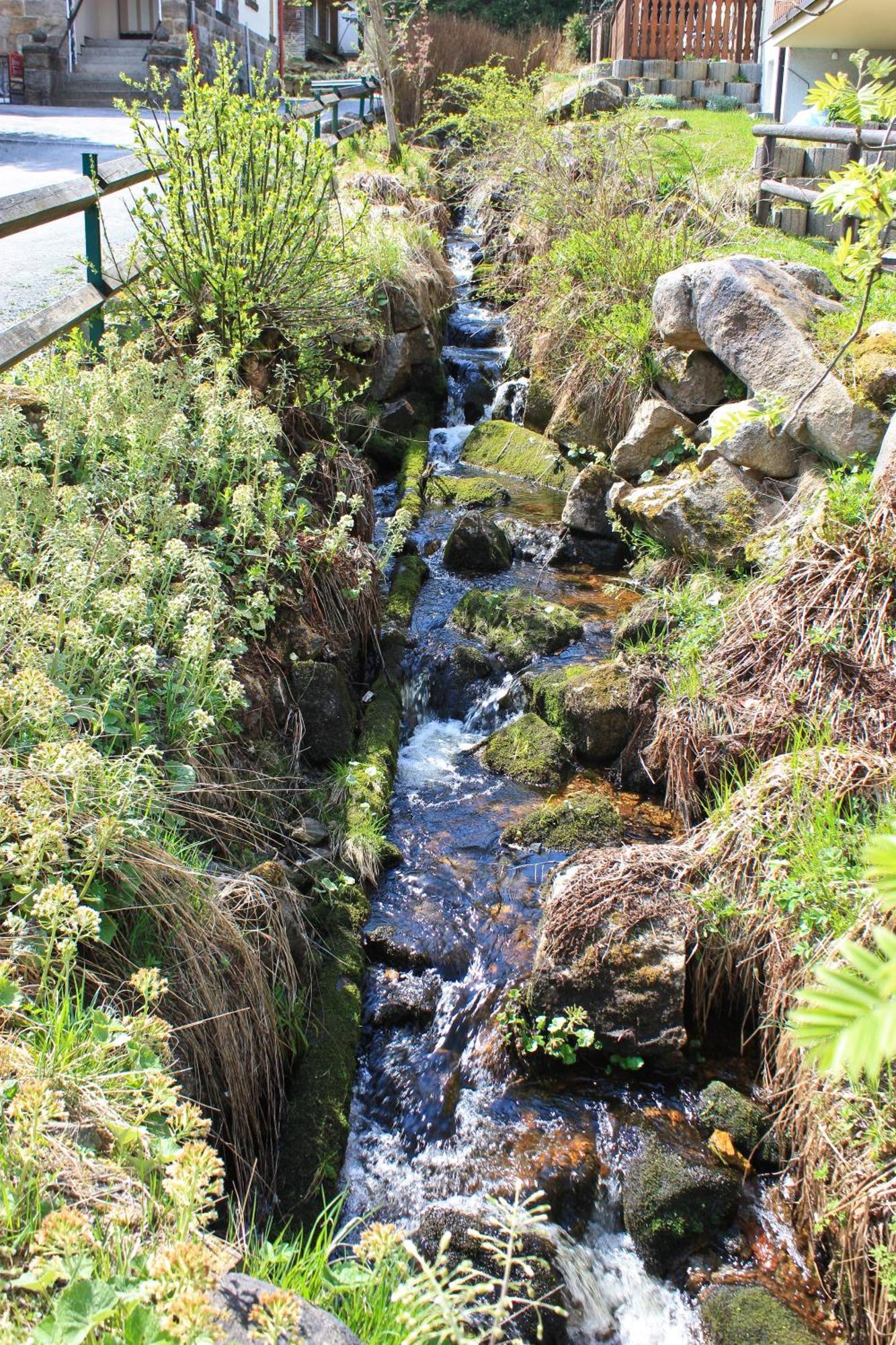 Ferienanlage Zum Wildbach Schierke Dış mekan fotoğraf